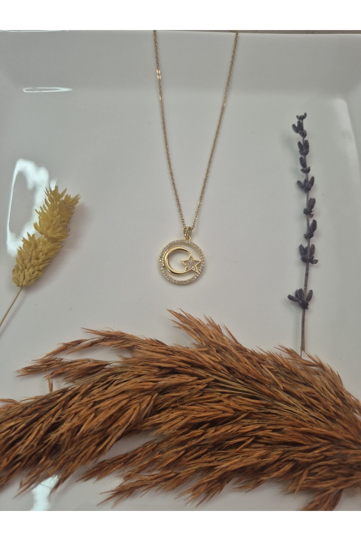 Altın Renk Ay Yıldız Kolye – Zirkon Taşlı Kadın Çelik Takı | Alias